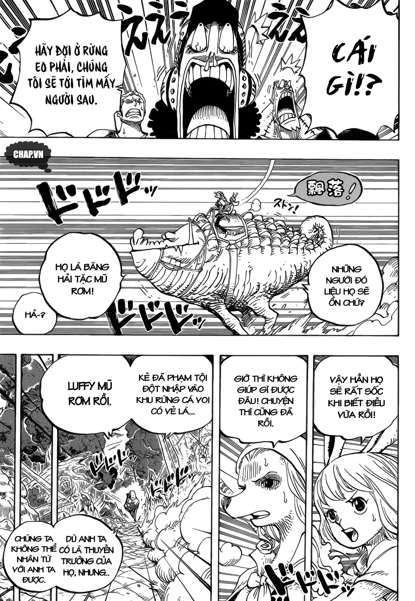 One Piece chương 805, trang 5