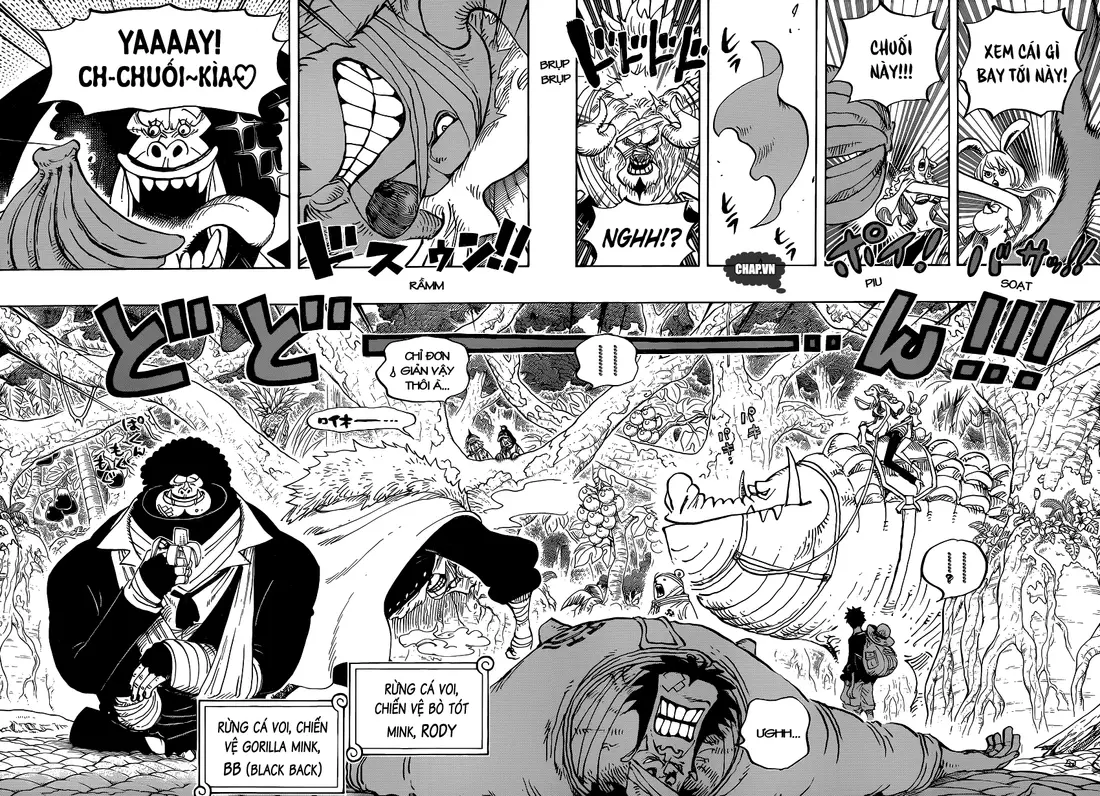 One Piece chương 805, trang 10