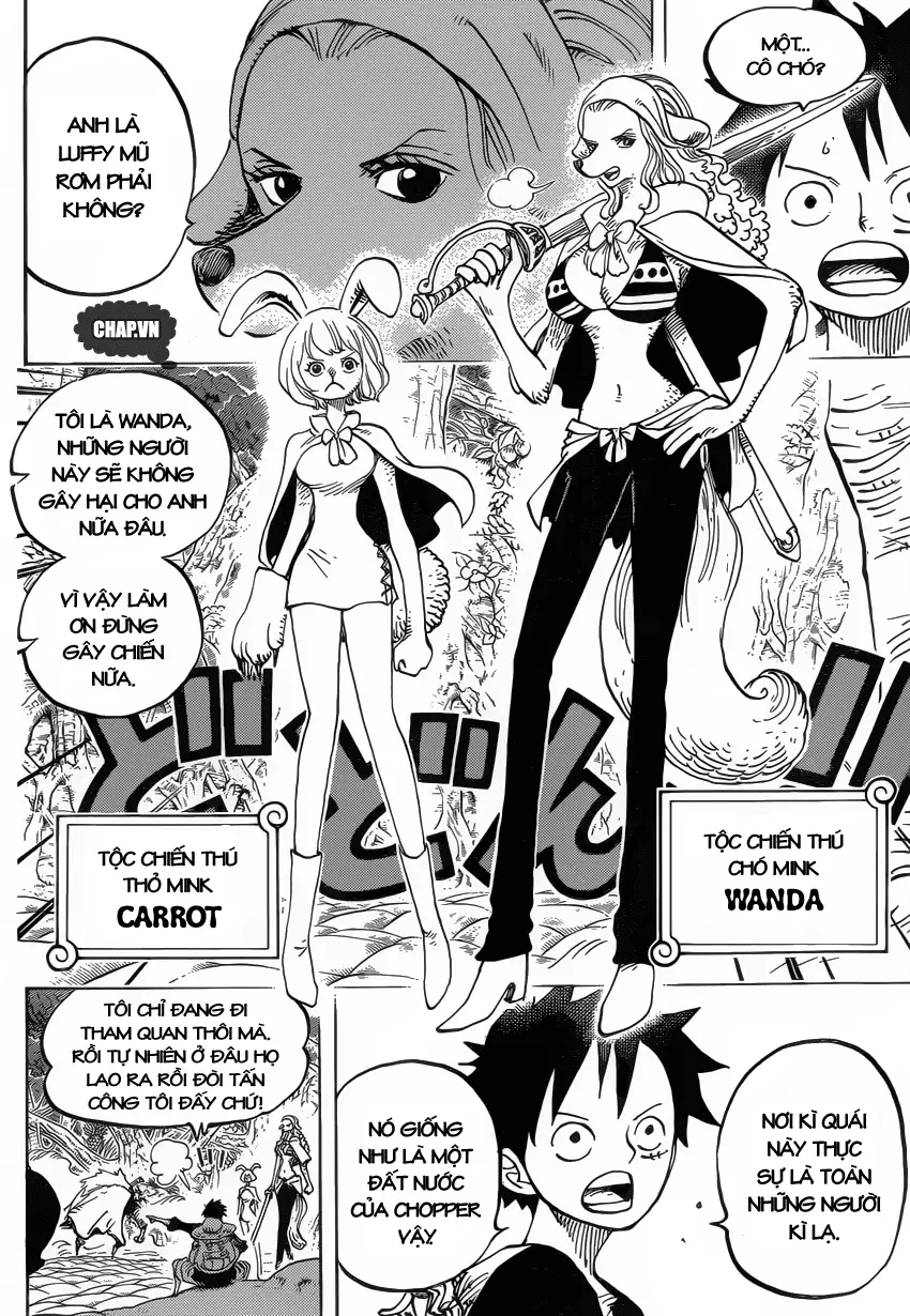 One Piece chương 805, trang 11