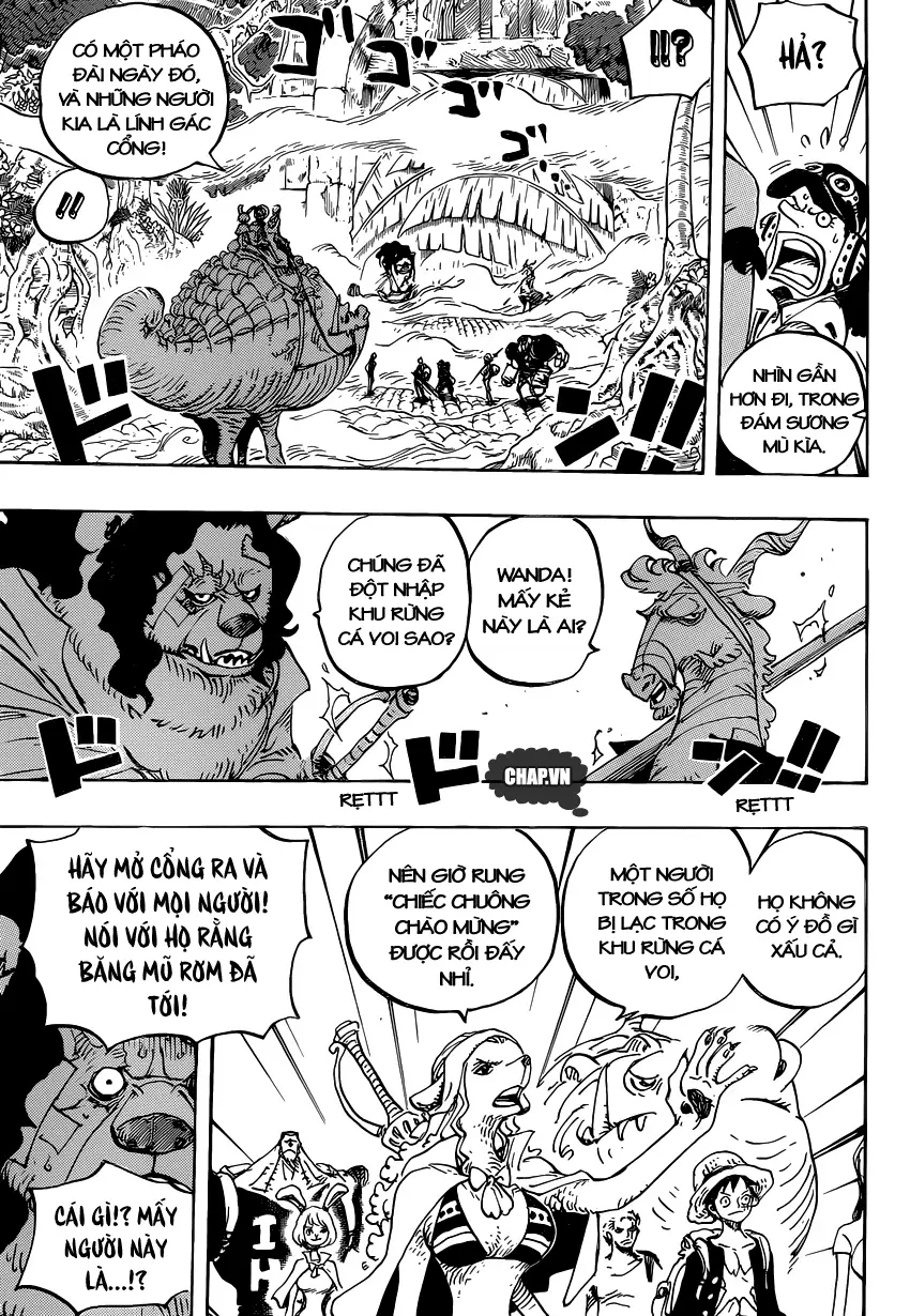 One Piece chương 806, trang 11