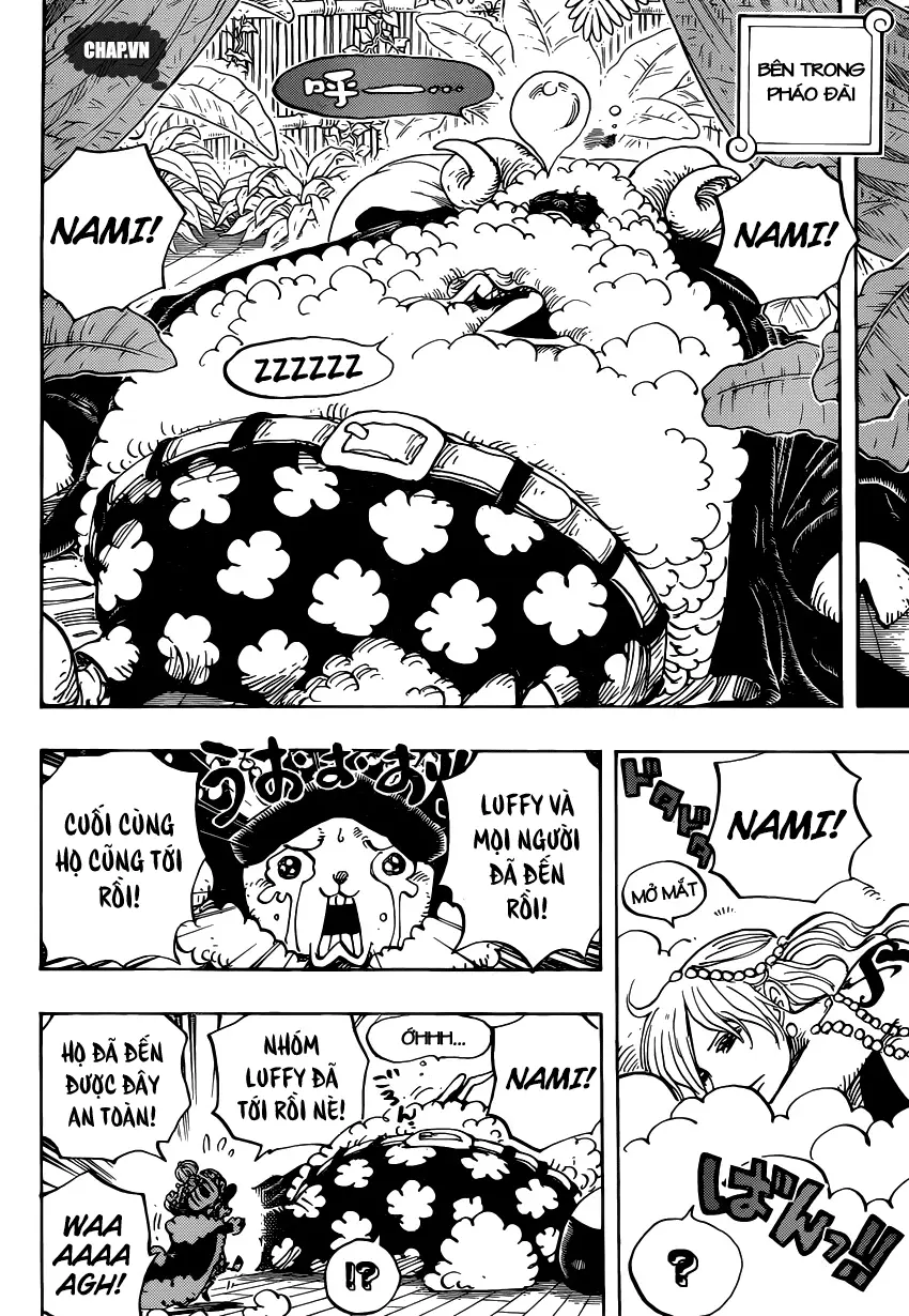 One Piece chương 806, trang 12