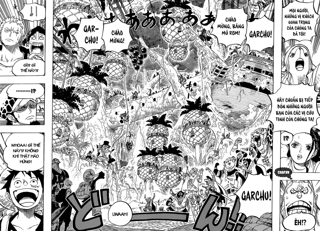 One Piece chương 806, trang 14