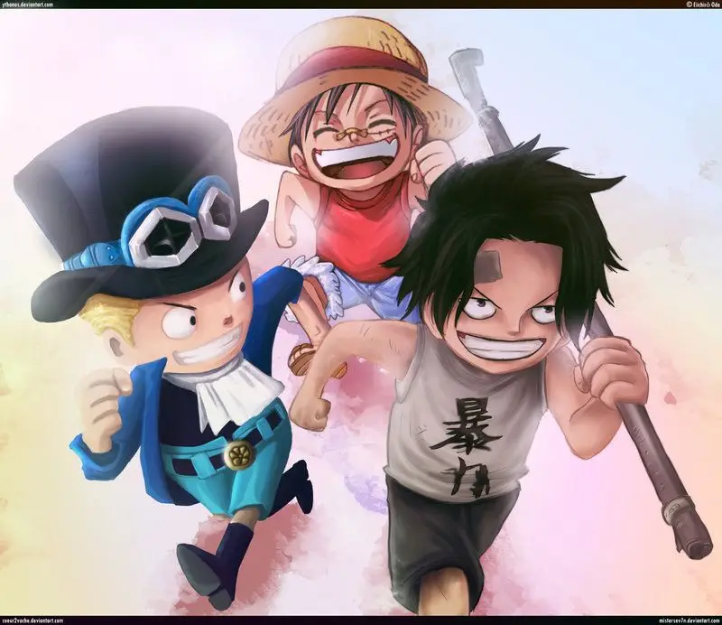 One Piece chương 806, trang 17