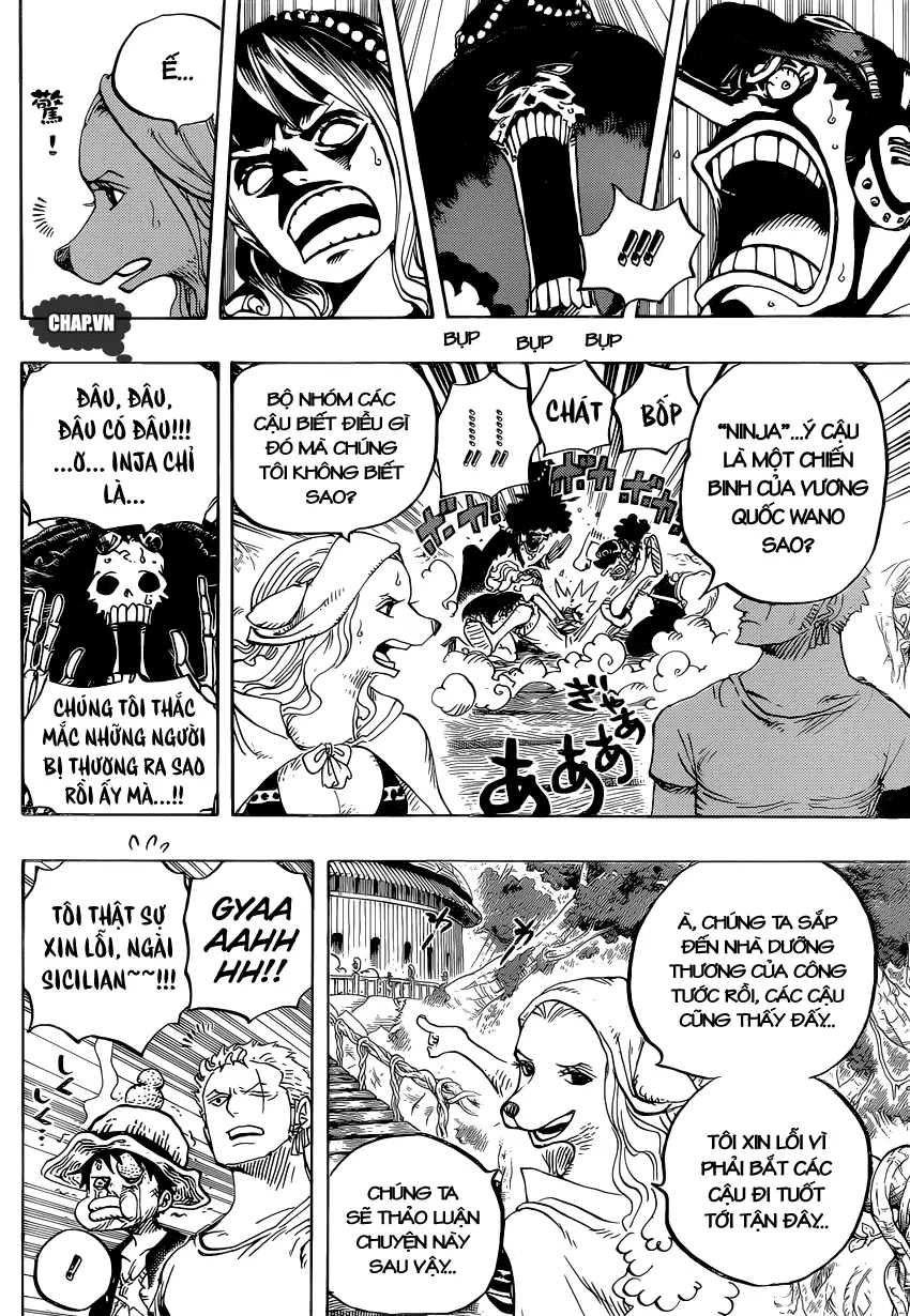 One Piece chương 808, trang 11