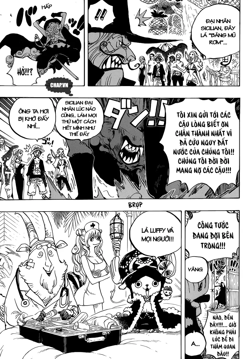 One Piece chương 808, trang 14