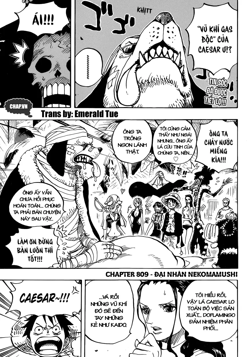One Piece chương 809, trang 3