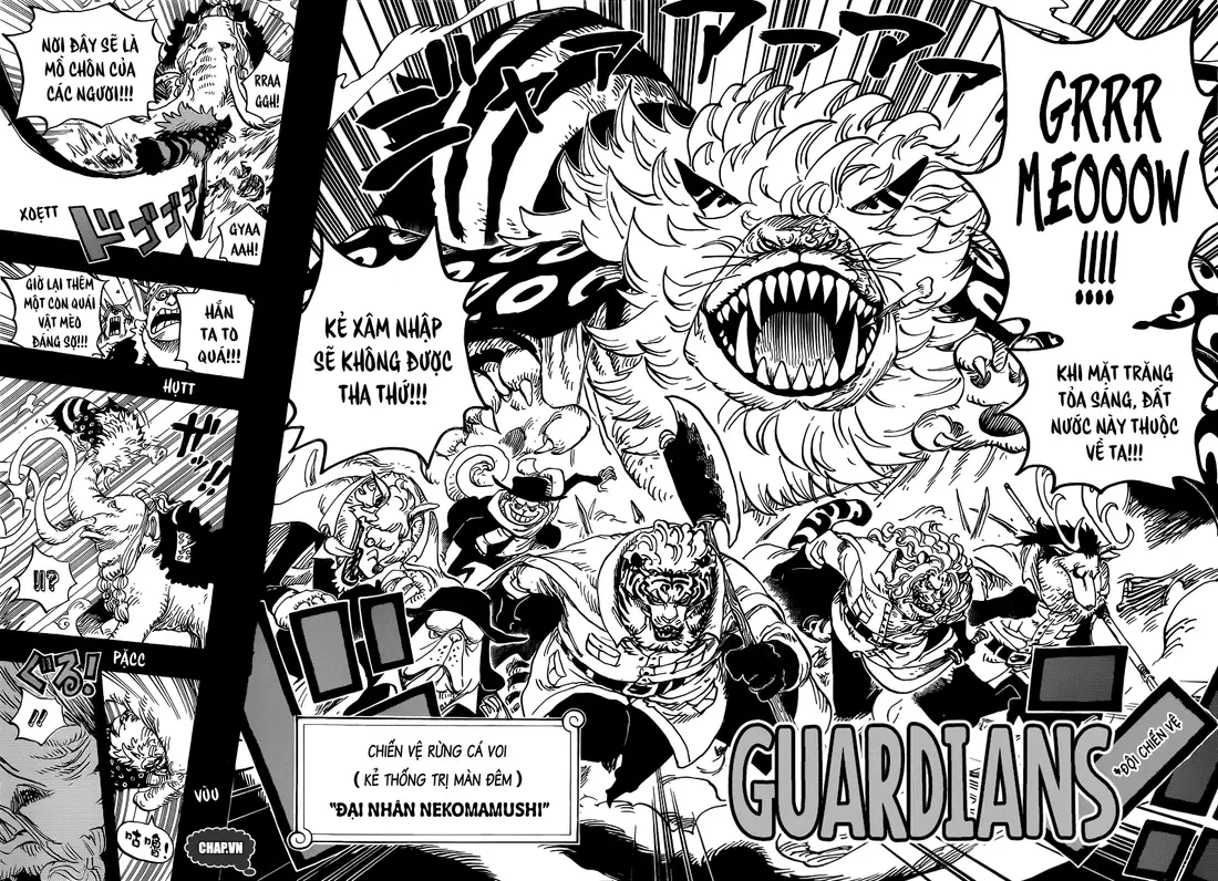 One Piece chương 809, trang 15