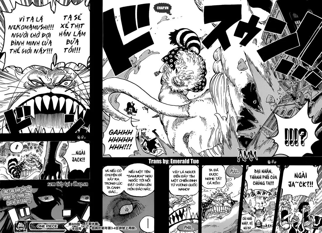 One Piece chương 809, trang 16