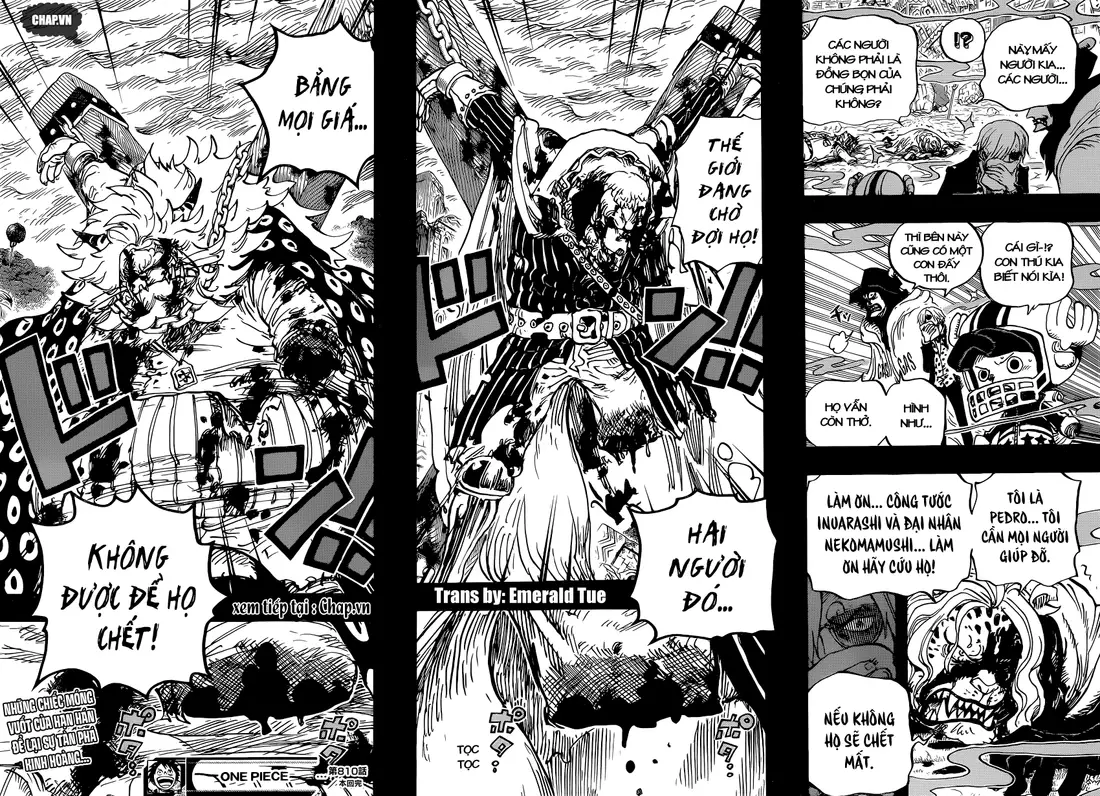 One Piece chương 810, trang 16