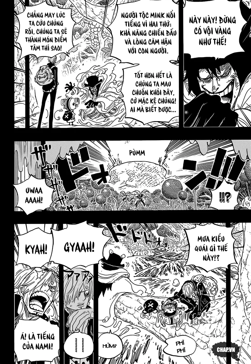 One Piece chương 811, trang 3