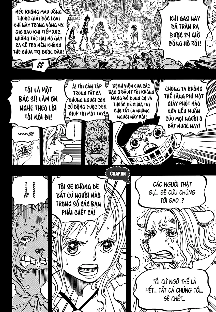 One Piece chương 811, trang 11