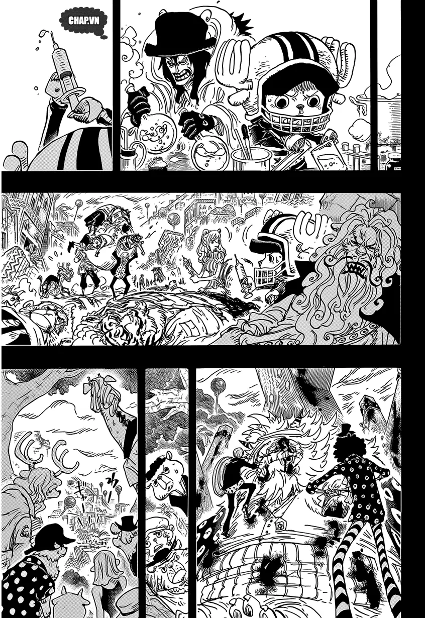 One Piece chương 811, trang 12
