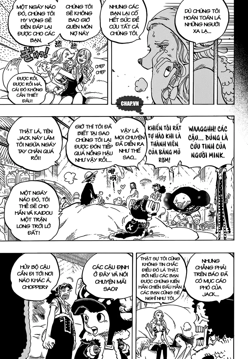 One Piece chương 811, trang 14