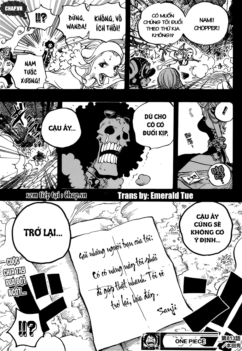One Piece chương 813, trang 17
