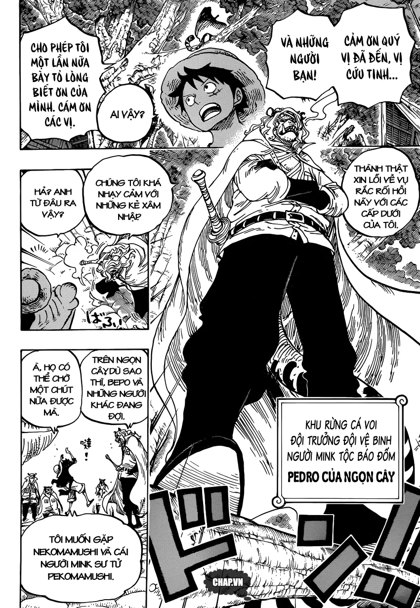 One Piece chương 814, trang 11