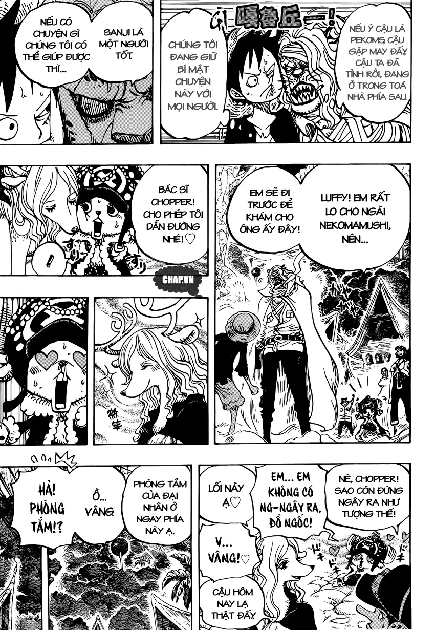 One Piece chương 814, trang 12
