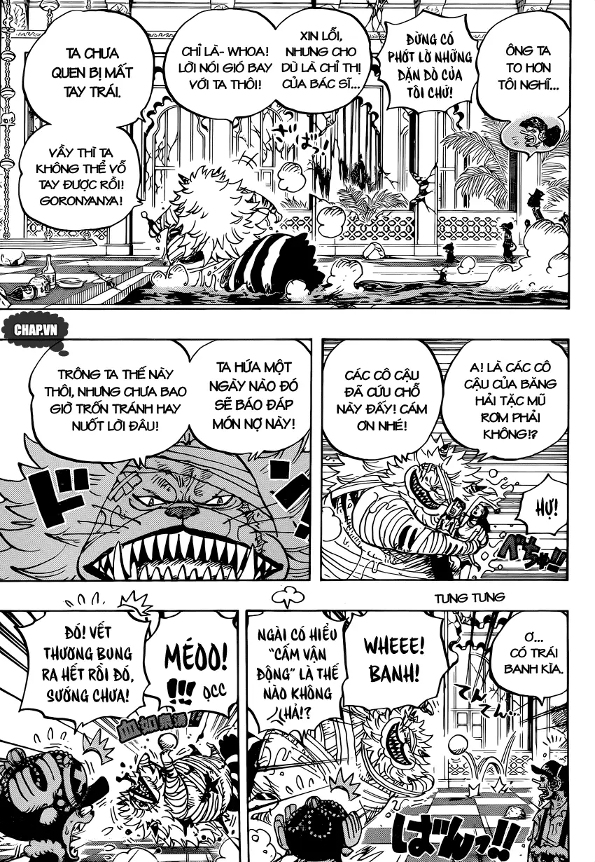 One Piece chương 814, trang 14