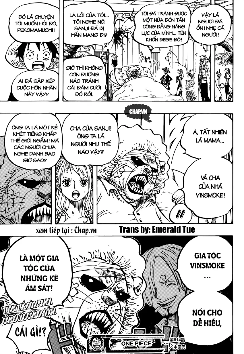 One Piece chương 814, trang 16