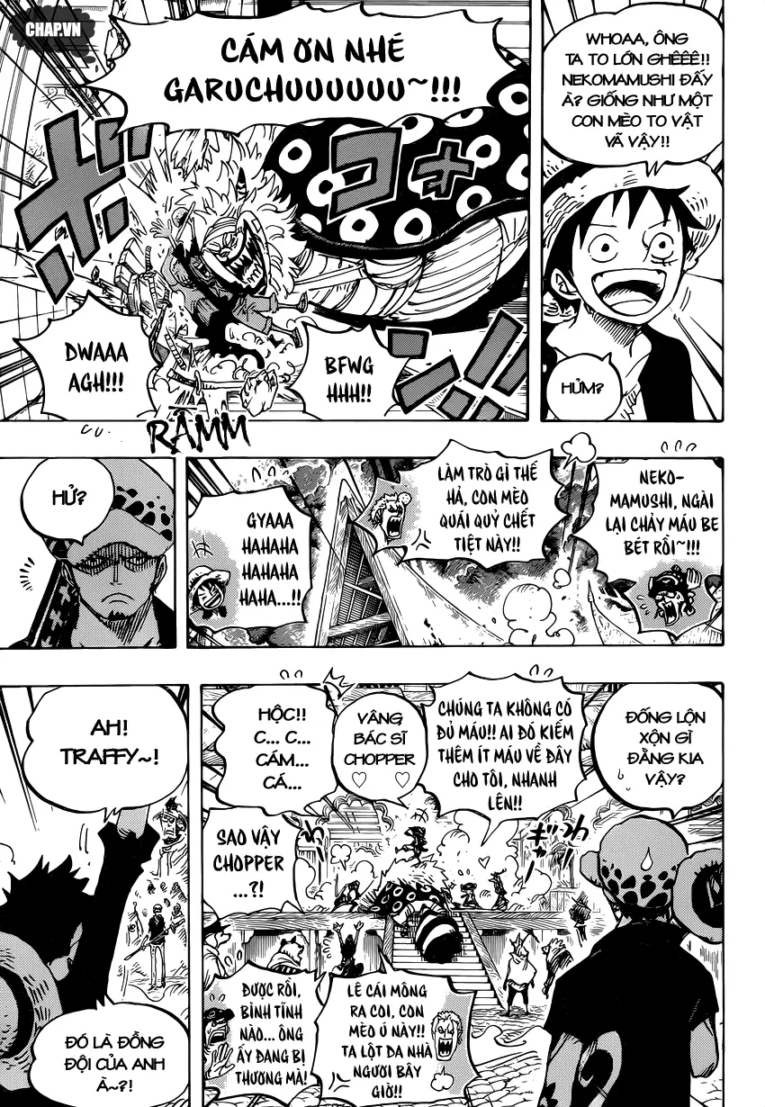 One Piece chương 815, trang 11