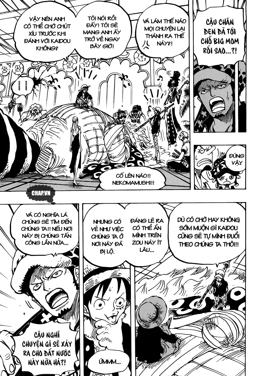 One Piece chương 815, trang 13