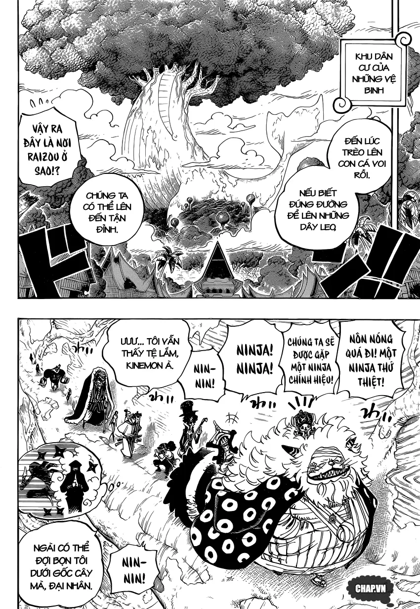 One Piece chương 817, trang 12