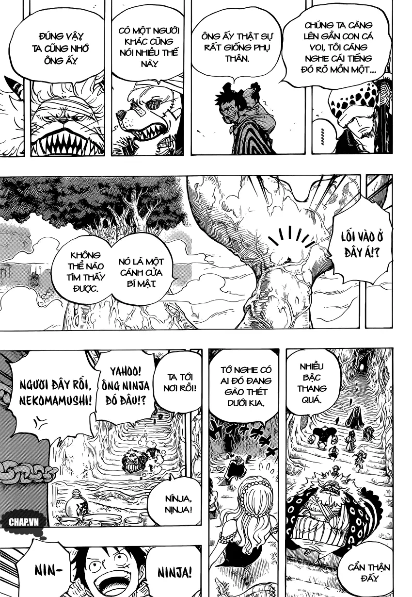 One Piece chương 817, trang 13
