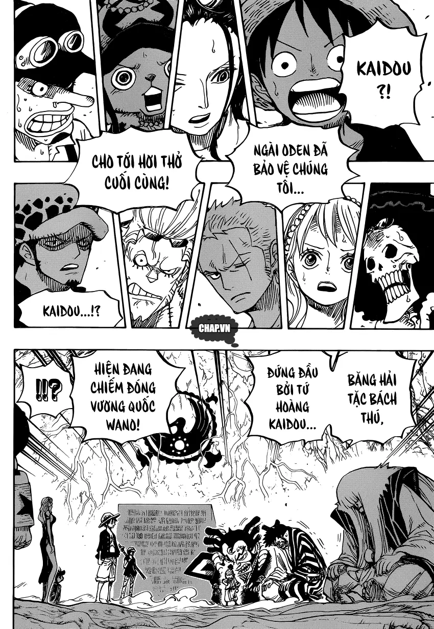 One Piece chương 818, trang 14