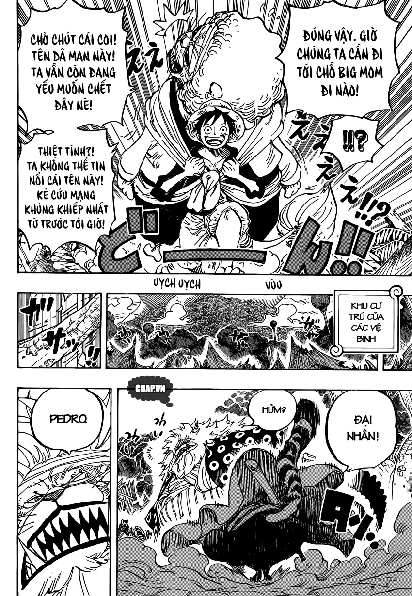 One Piece chương 822, trang 8