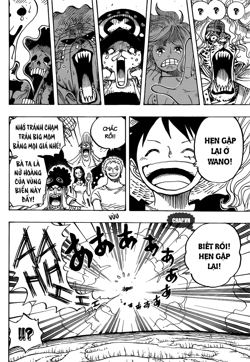 One Piece chương 822, trang 16