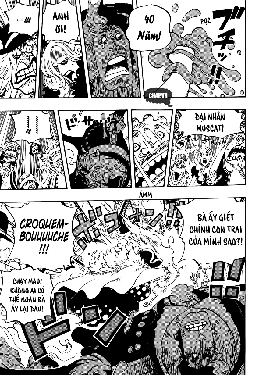 One Piece chương 829, trang 13