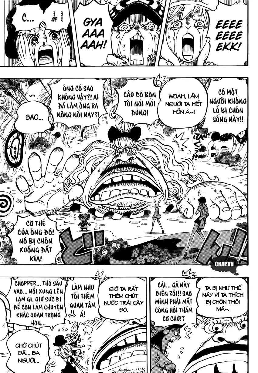 One Piece chương 831, trang 15