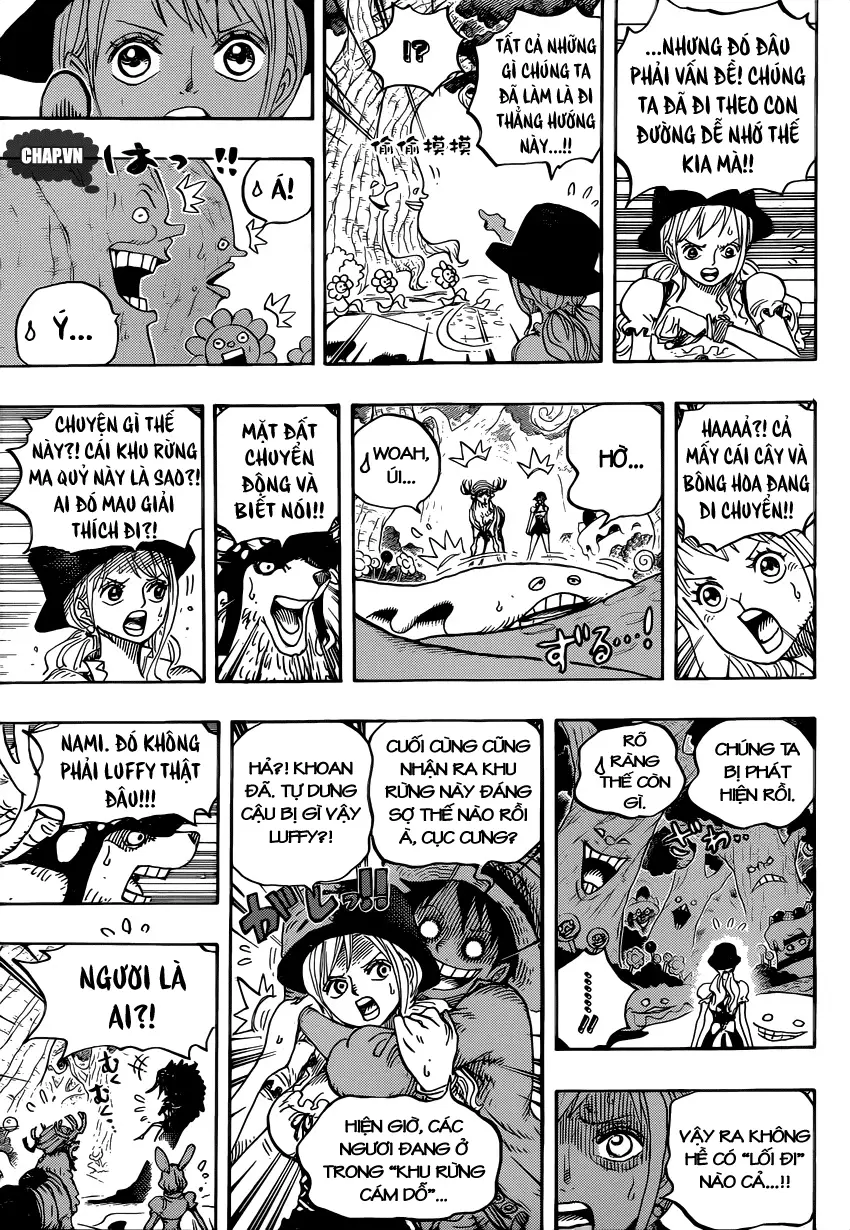 One Piece chương 832, trang 11