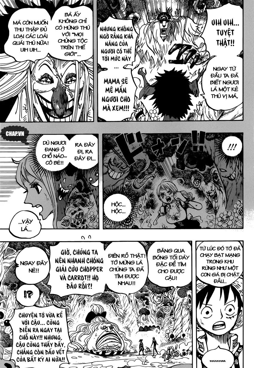 One Piece chương 835, trang 13