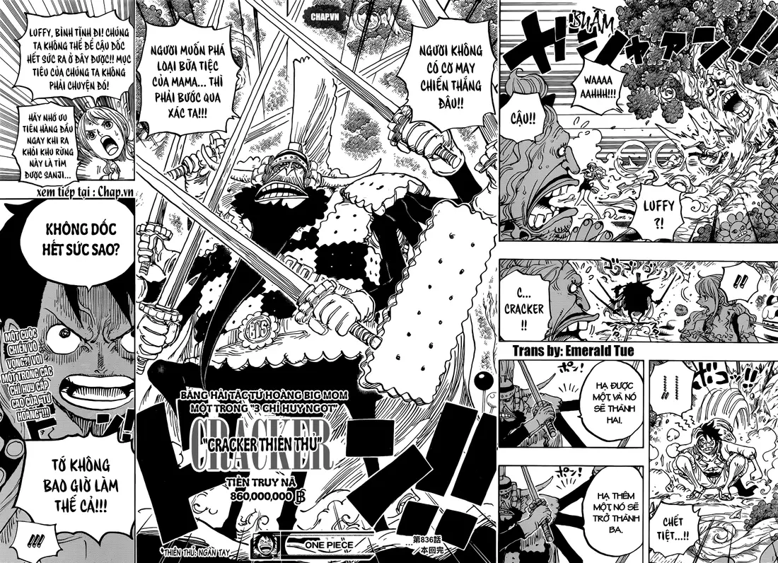 One Piece chương 836, trang 14