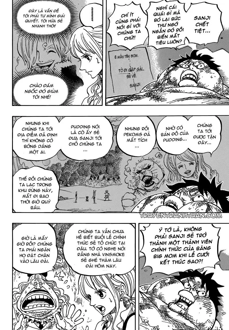 One Piece chương 843, trang 11