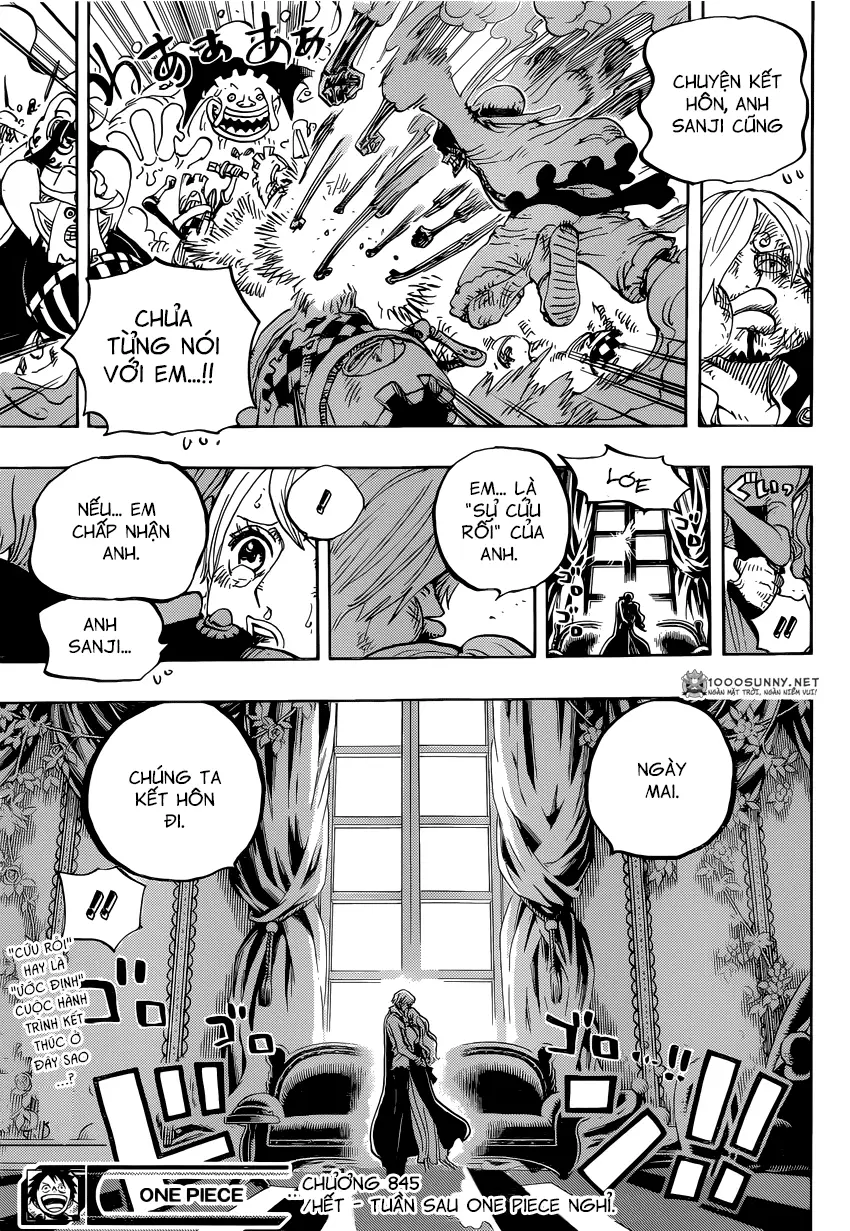 One Piece chương 845, trang 17