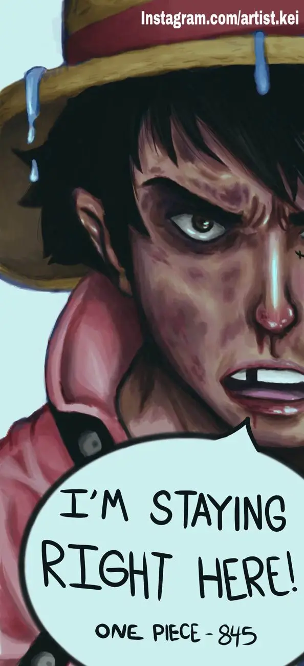 One Piece chương 846, trang 29