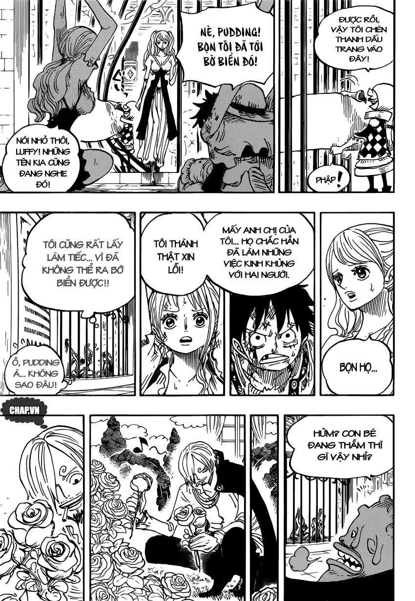 One Piece chương 848, trang 16