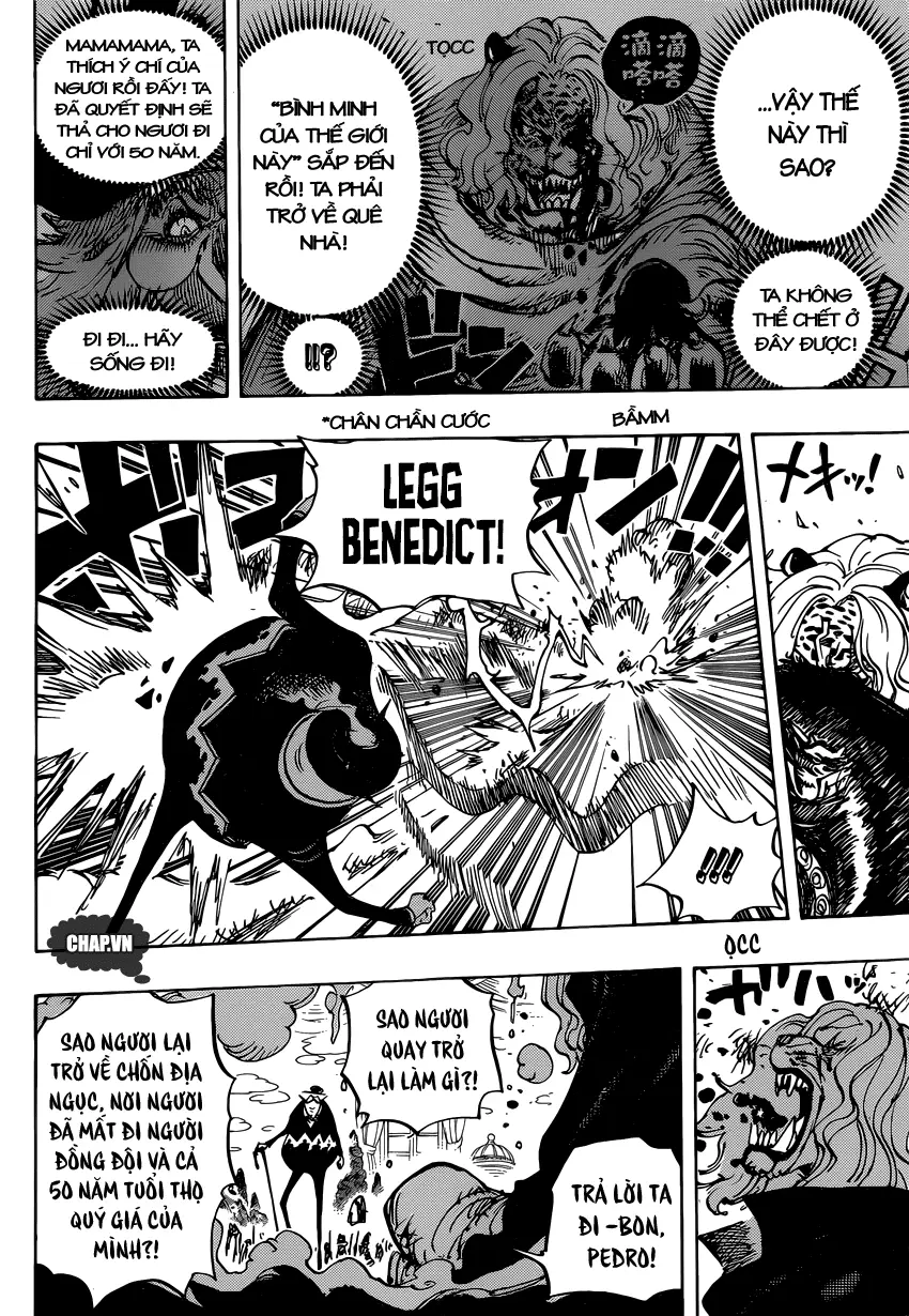 One Piece chương 850, trang 11