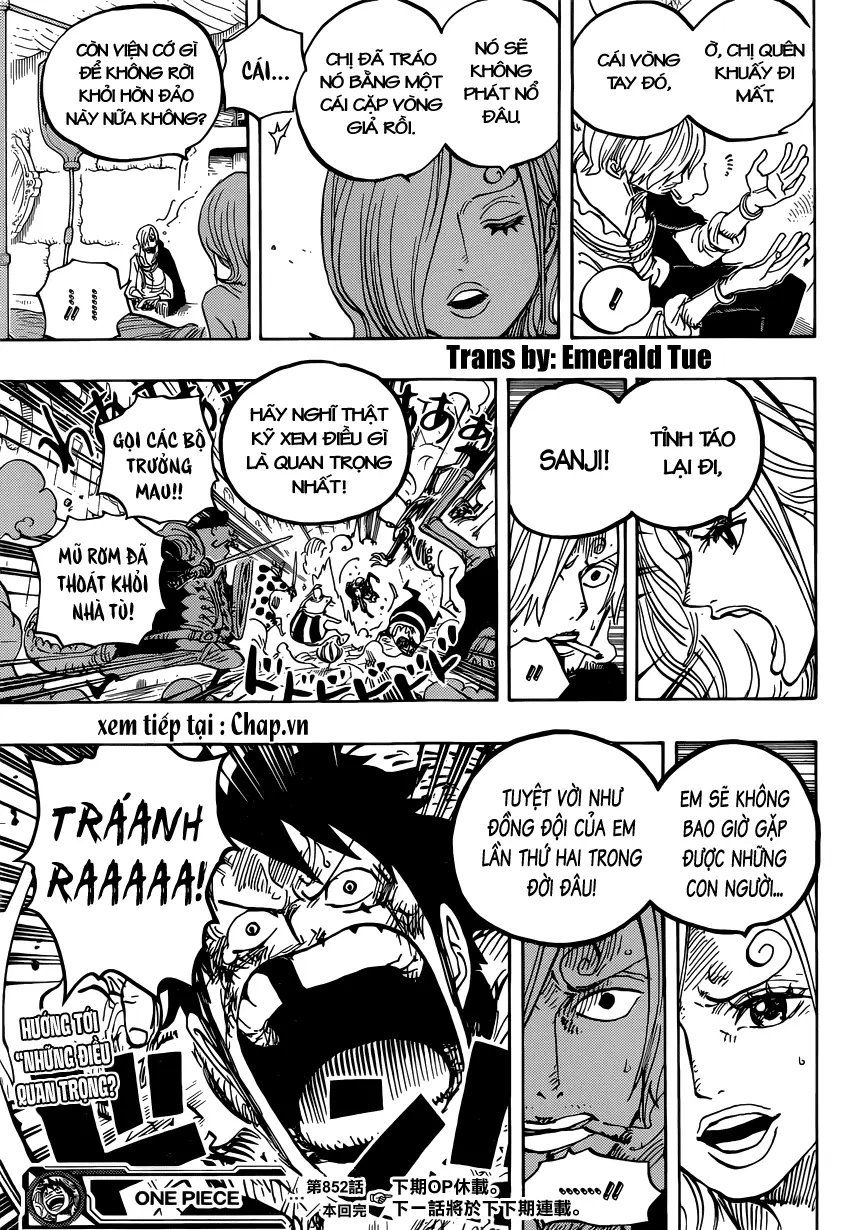 One Piece chương 852, trang 17