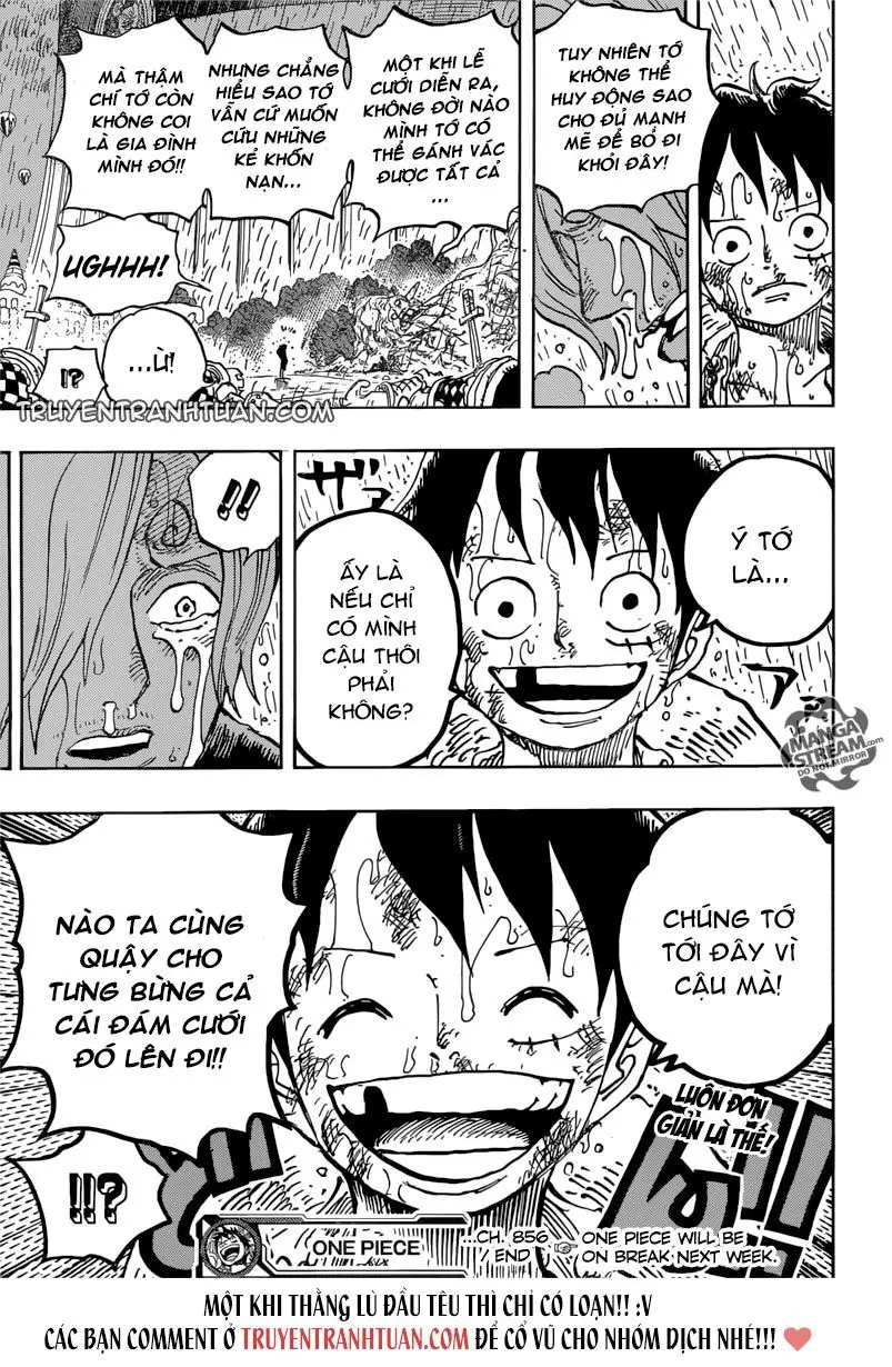 One Piece chương 856, trang 17