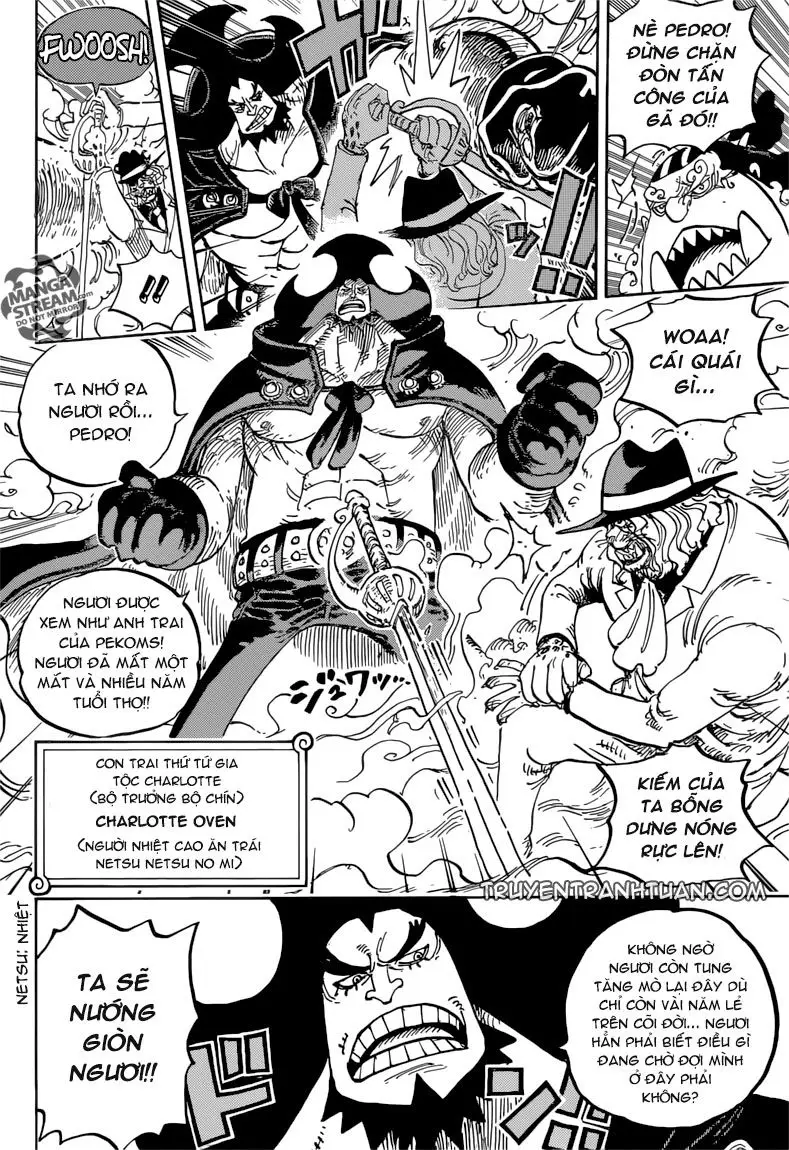 One Piece chương 864, trang 10