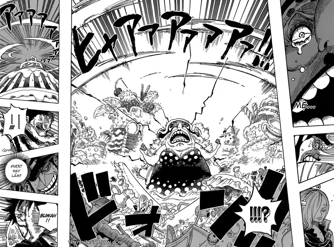 One Piece chương 865, trang 10
