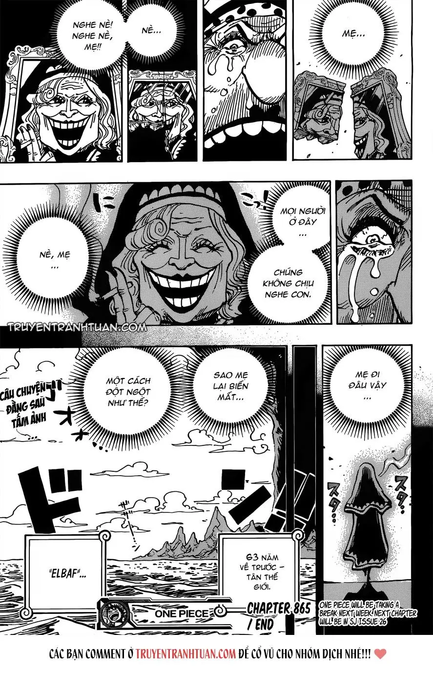 One Piece chương 865, trang 16