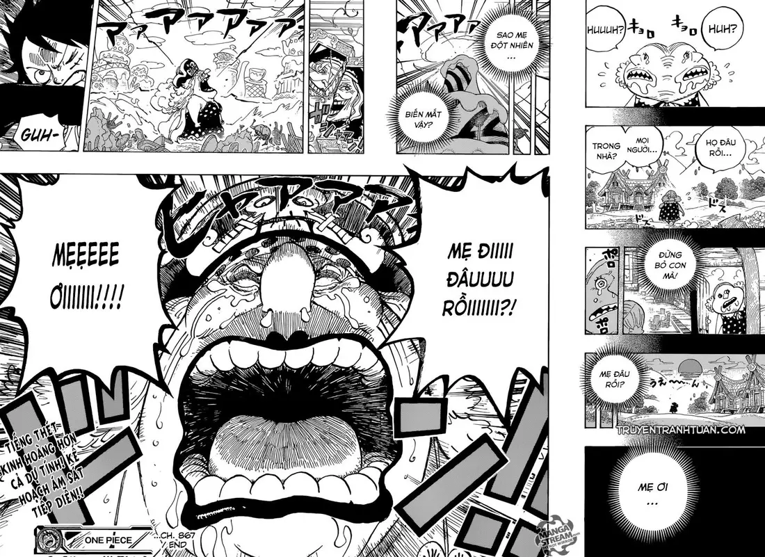 One Piece chương 867, trang 17