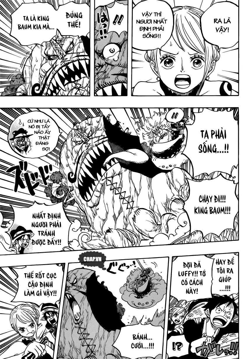 One Piece chương 874, trang 5