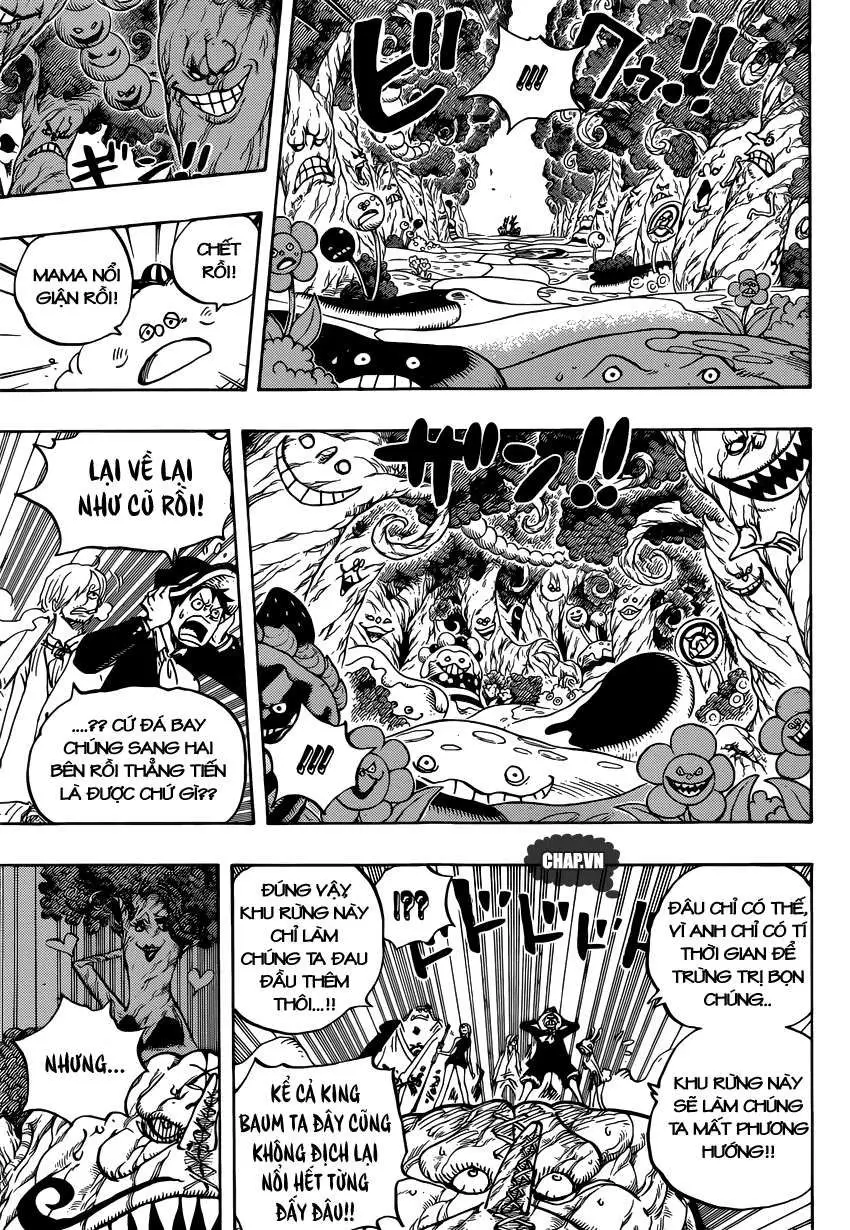 One Piece chương 874, trang 11
