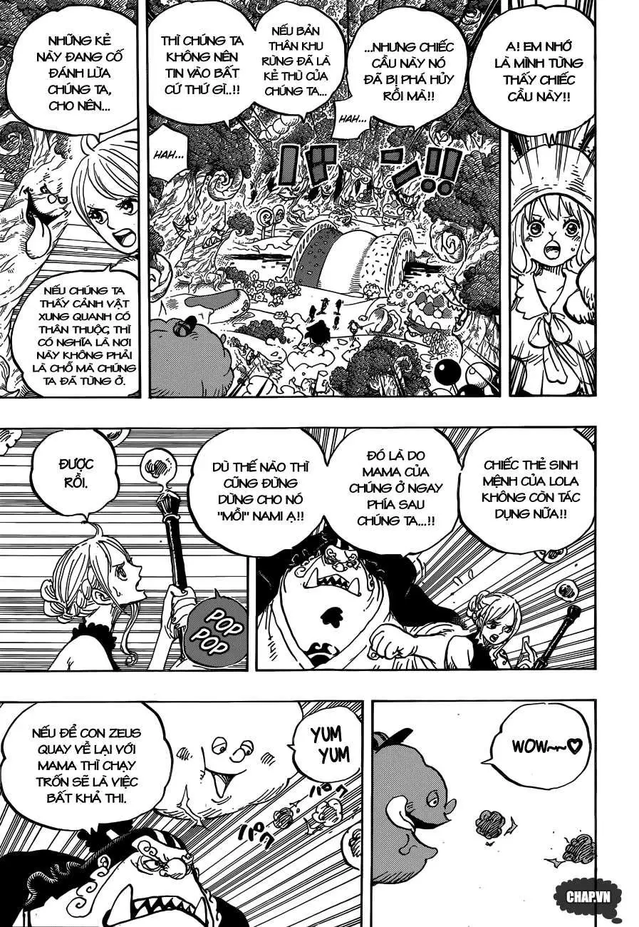 One Piece chương 875, trang 5