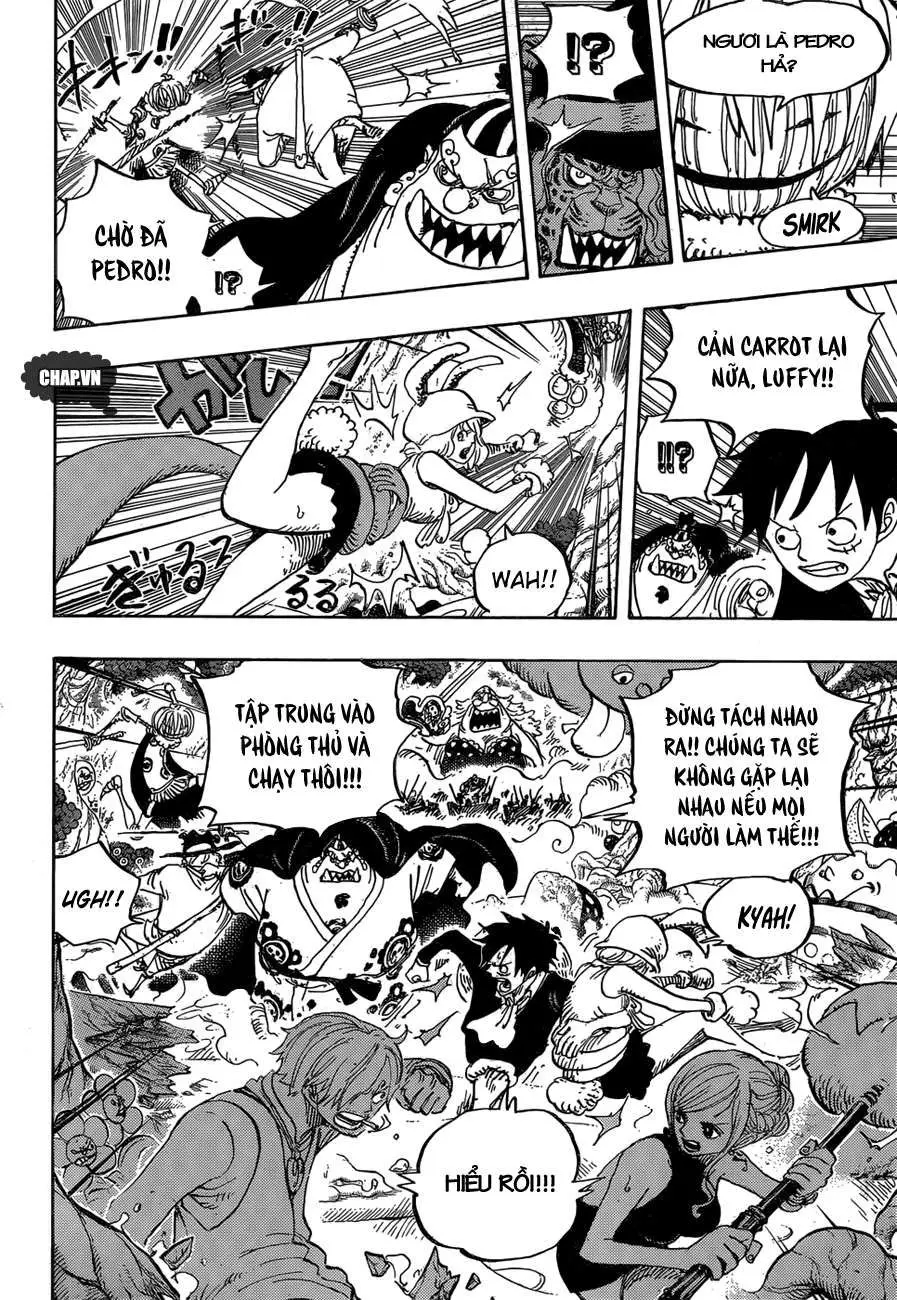 One Piece chương 875, trang 10