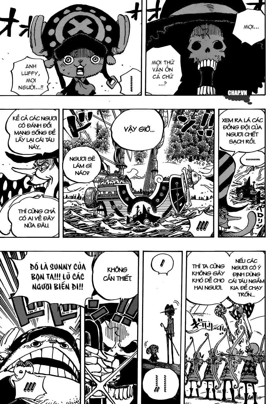 One Piece chương 875, trang 14